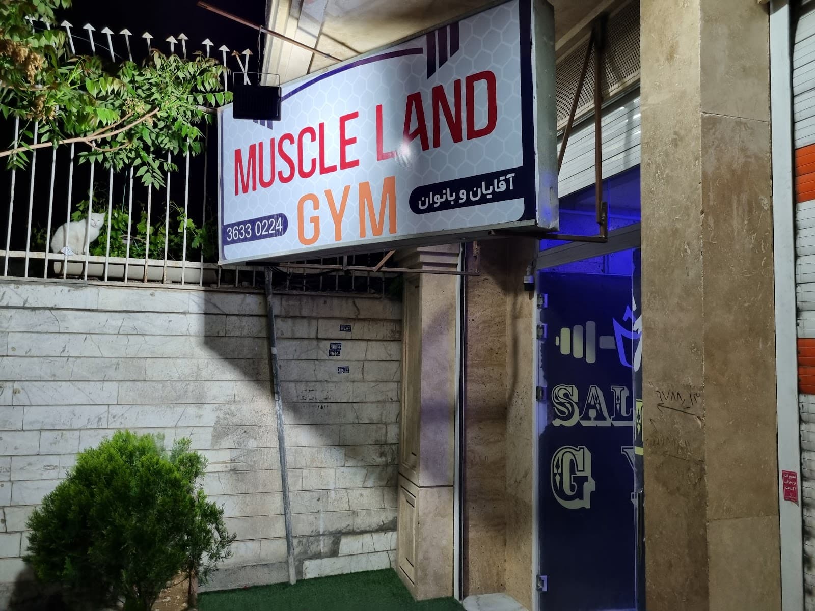 Muscle Land Gym 4