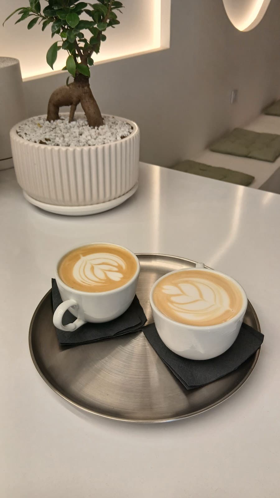 Cafe sano کافه سانو 3