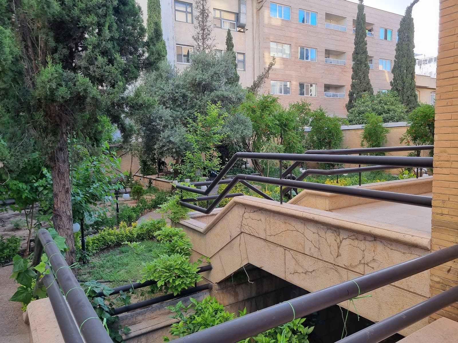 کلینیک تخصصی پزشکی ورزشی المپیک 4