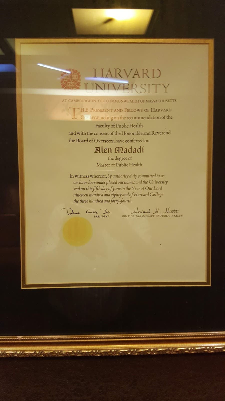 Dr. Golsa Madadi 5