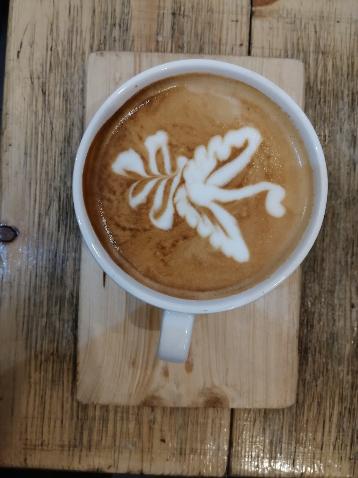 Lama Limited Cafe 2