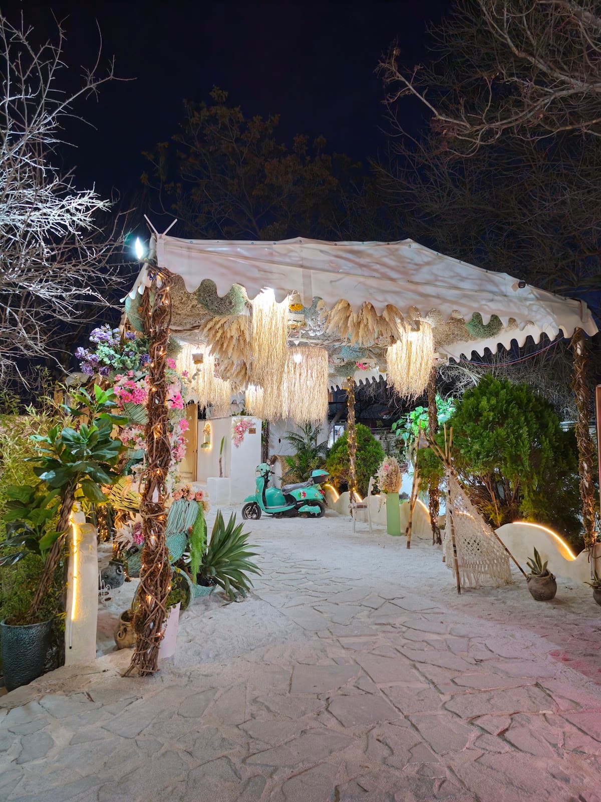 Cuba Flower Cafe 5