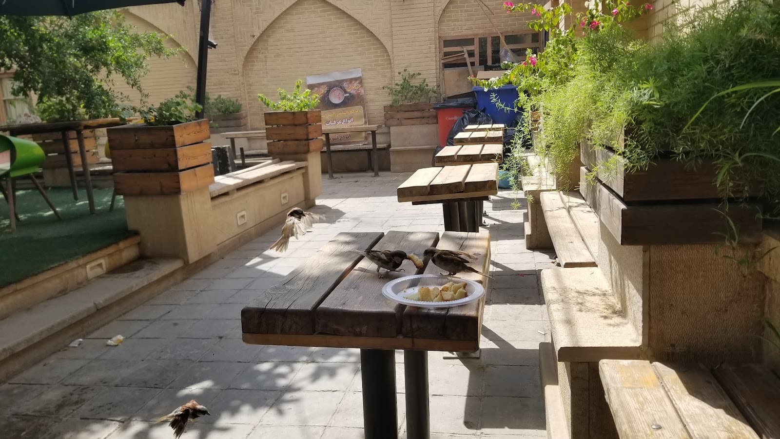 کافه سنتی باغ ارم 3