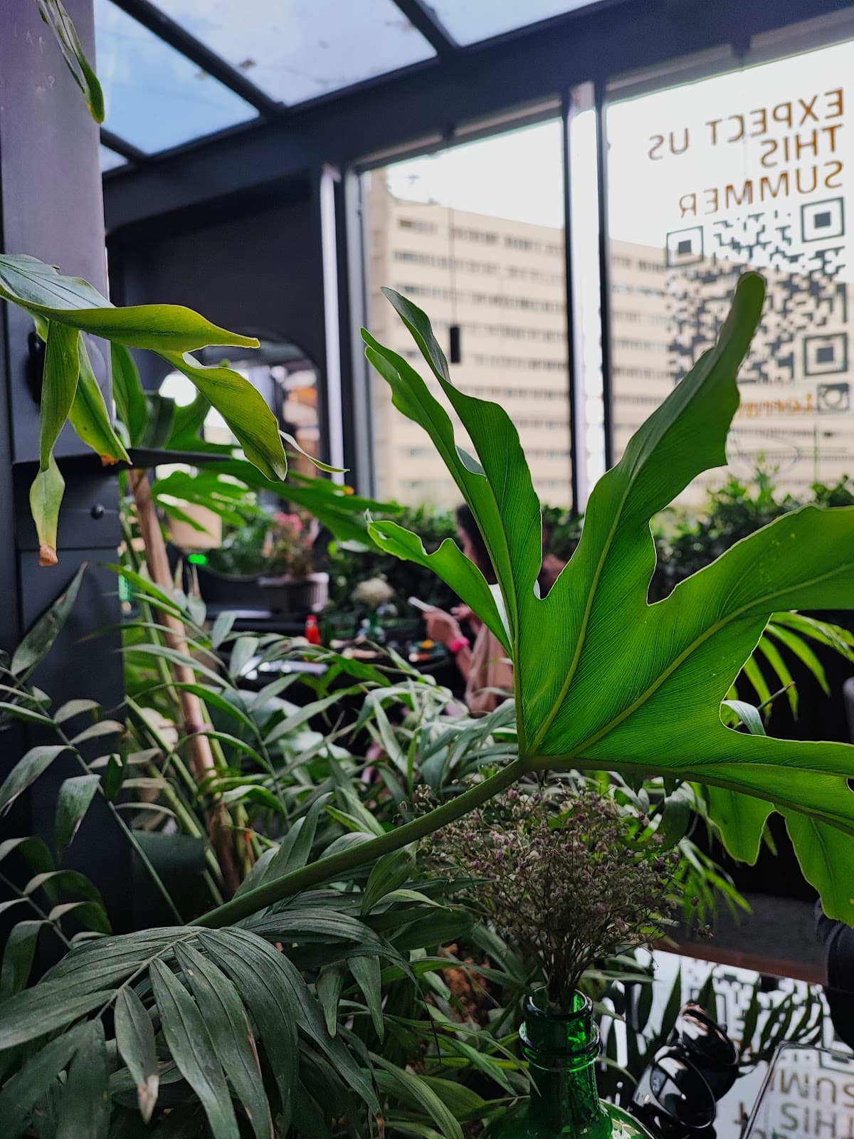 Terrace Cafe 2