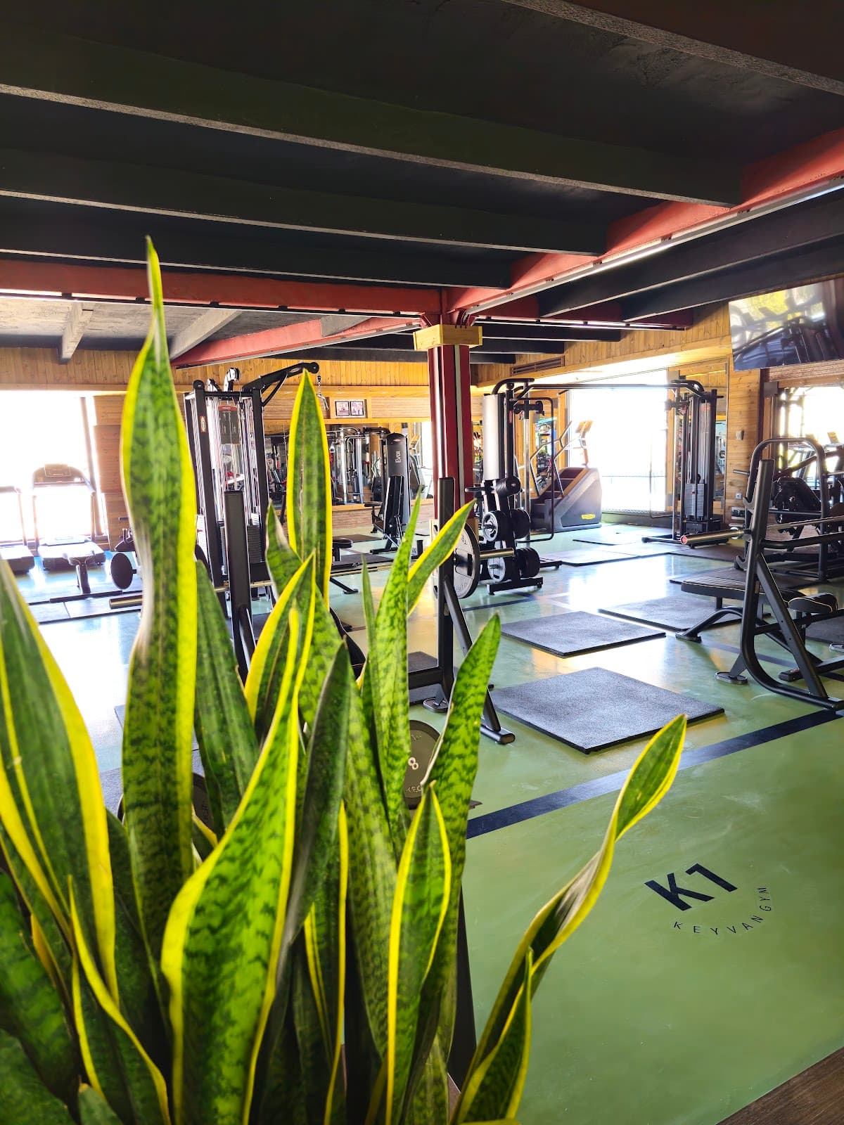 K1 club 4