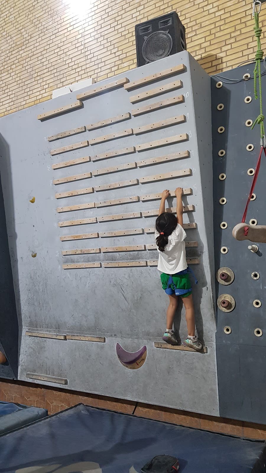 Shiraz rock climbing hall 5