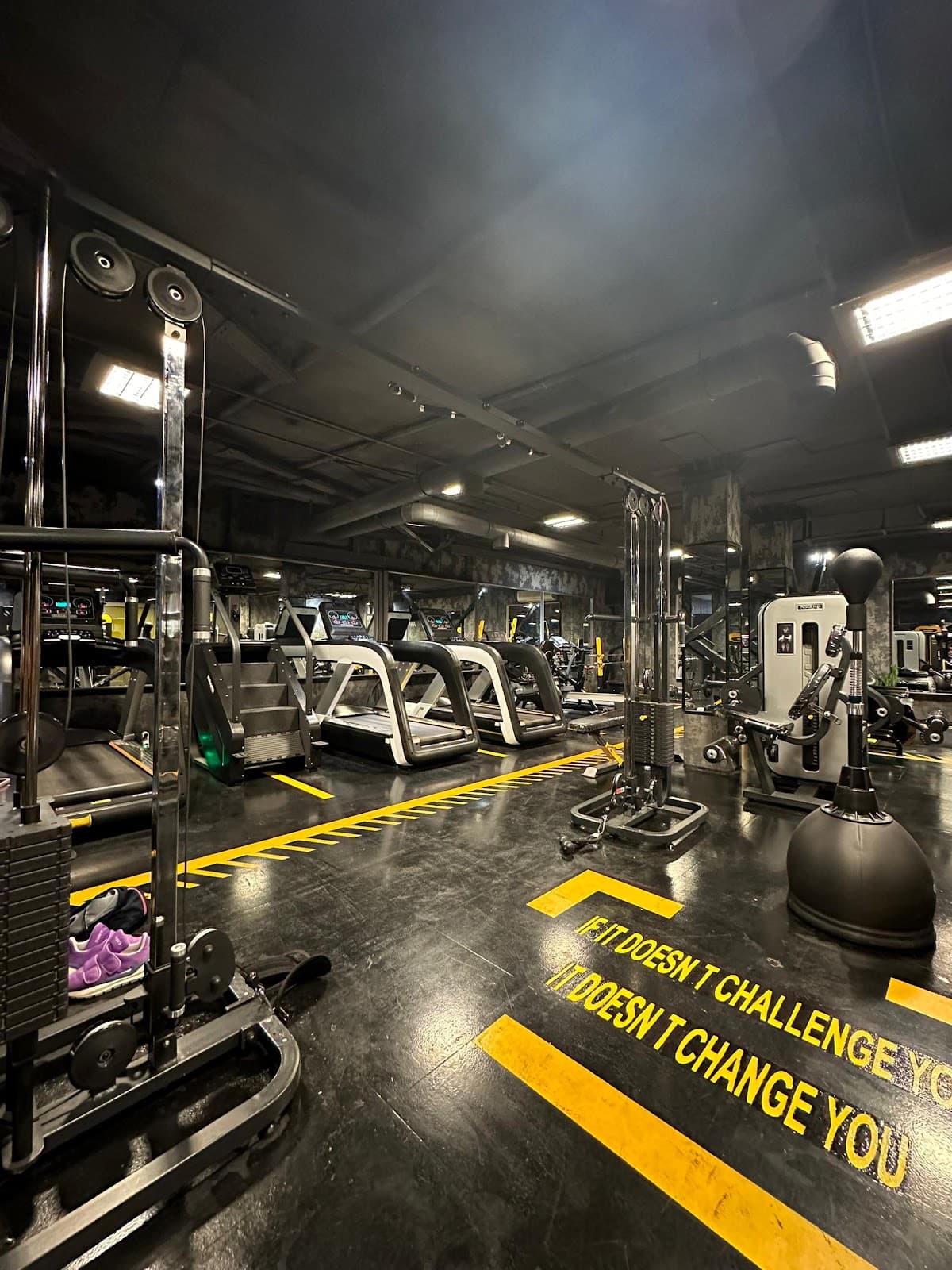 باشگاه ورزشی حرفه ای مهسا عاطفی نیا شعبه 1 ( عفیف آباد ) - Mahsa Atefinia Professional GYM 4