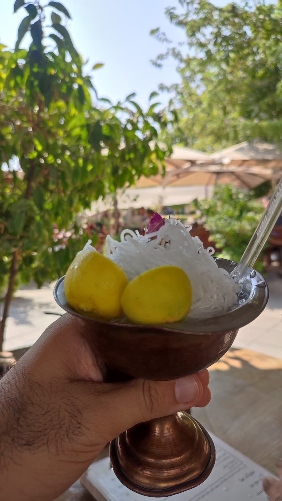 Cafe Honar کافه هنر 4