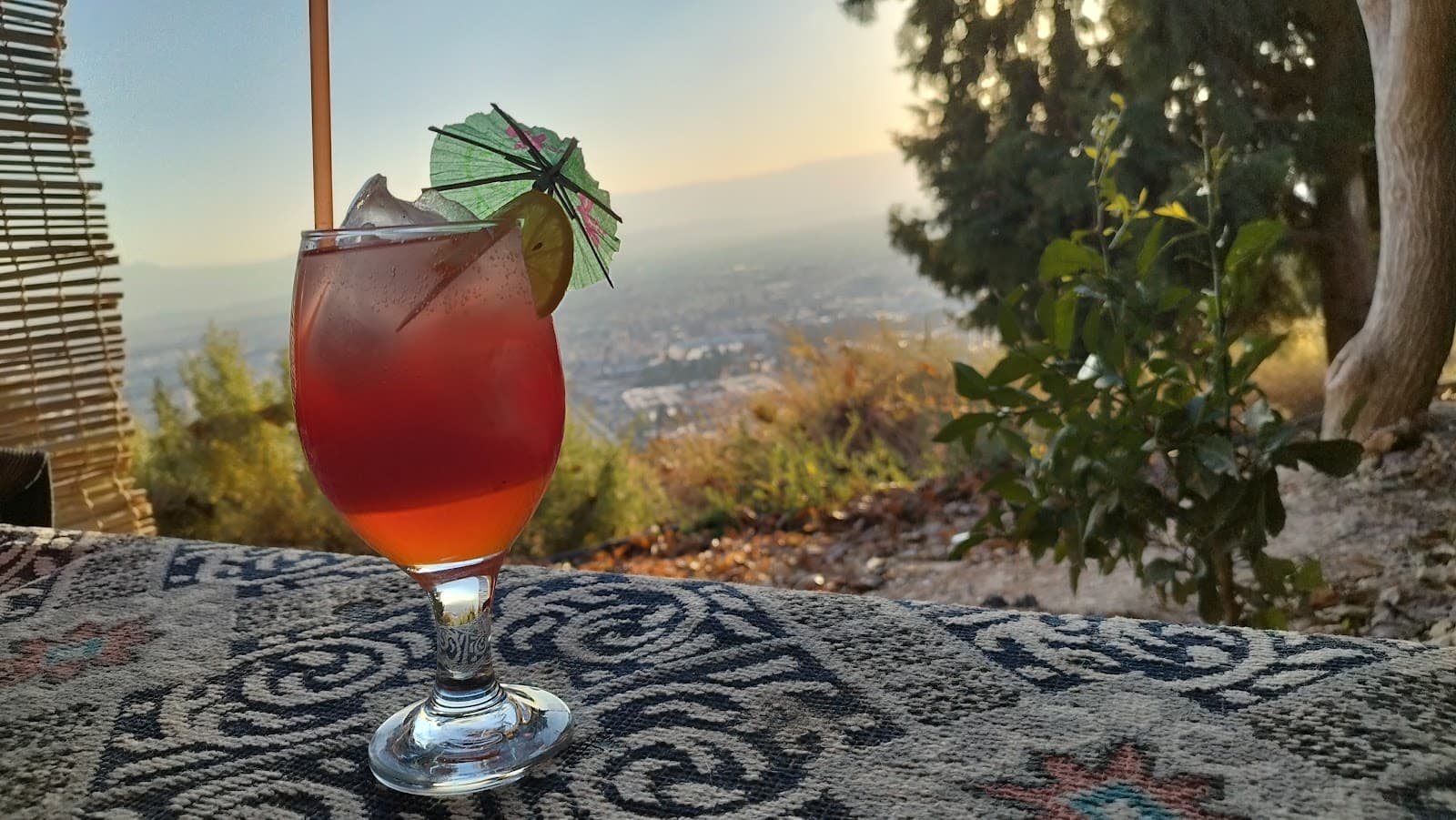 کافه گهواره دید 5