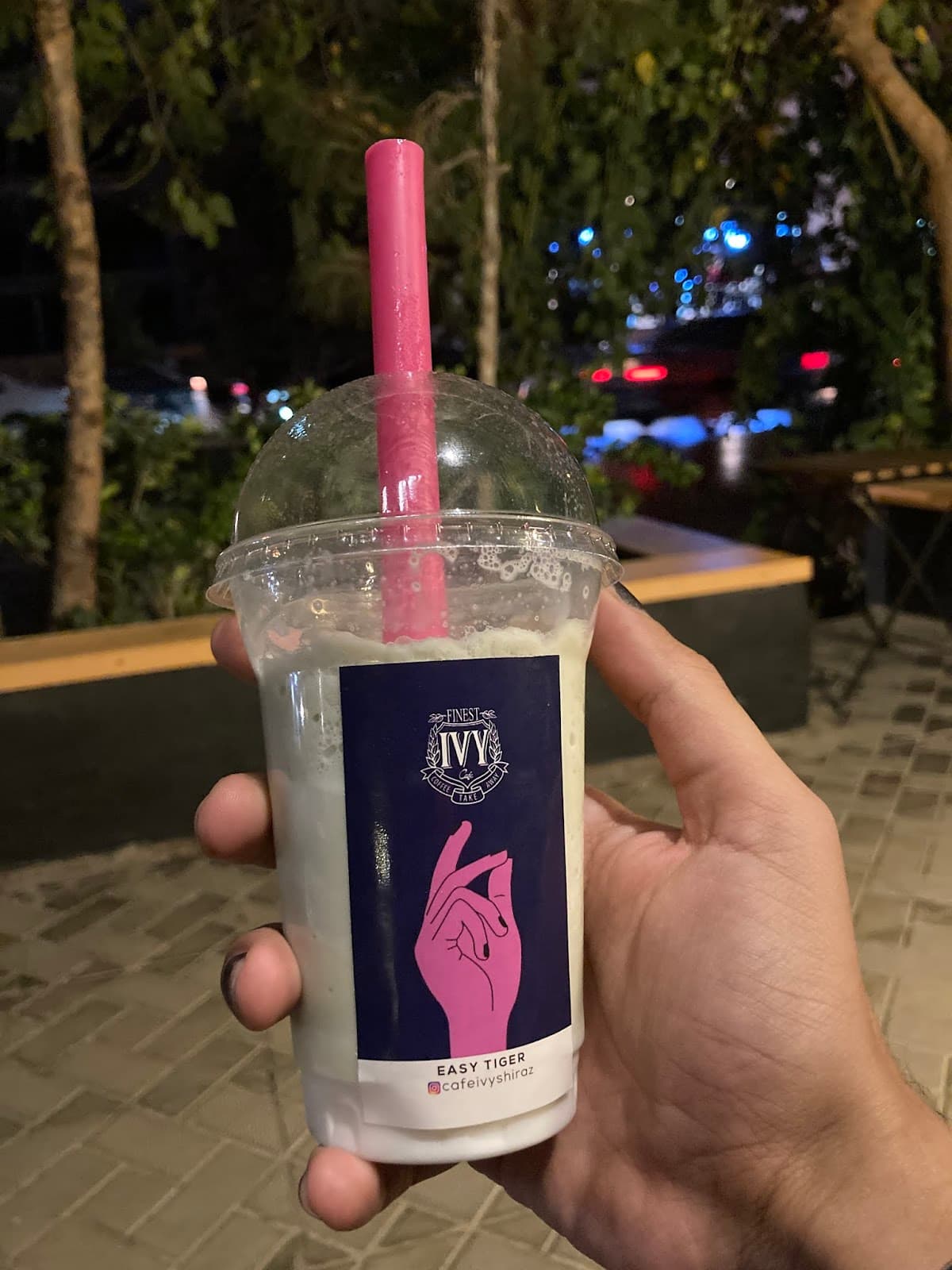 Shiraz IVY Cafe 5