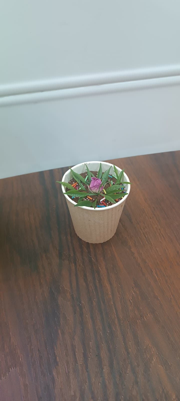 Aramesh cafe 5