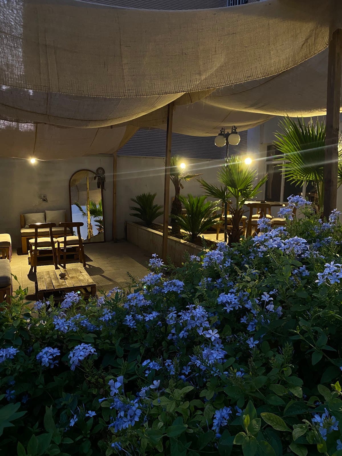 کافه مأوا(cafe mava) 4