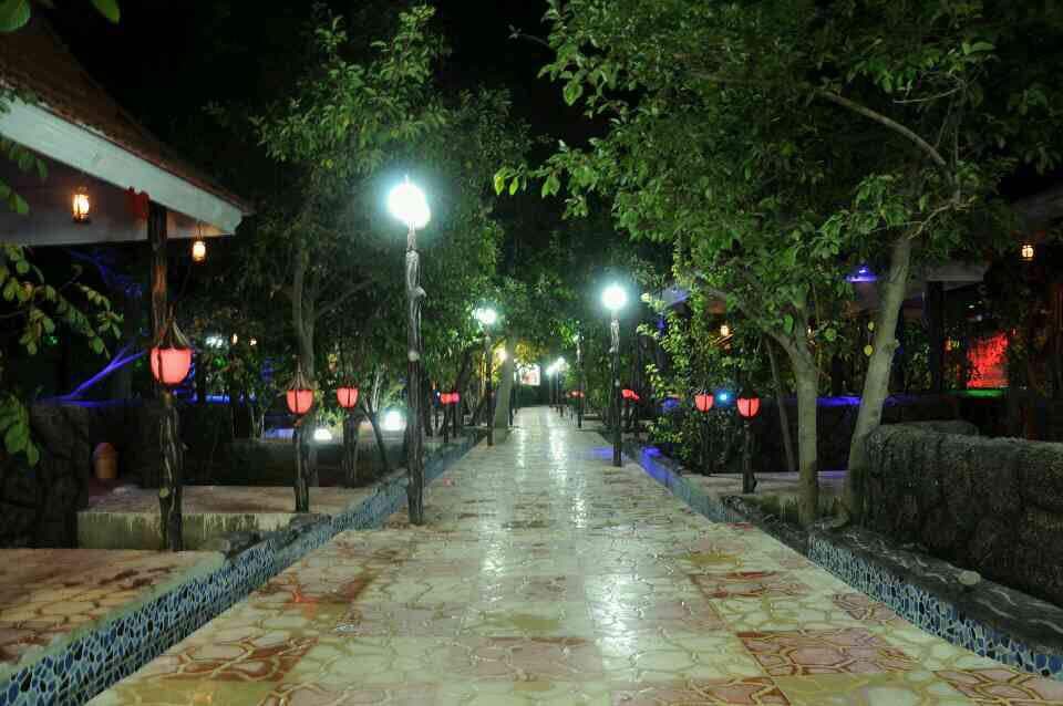 آلاچیق جنگلی 3