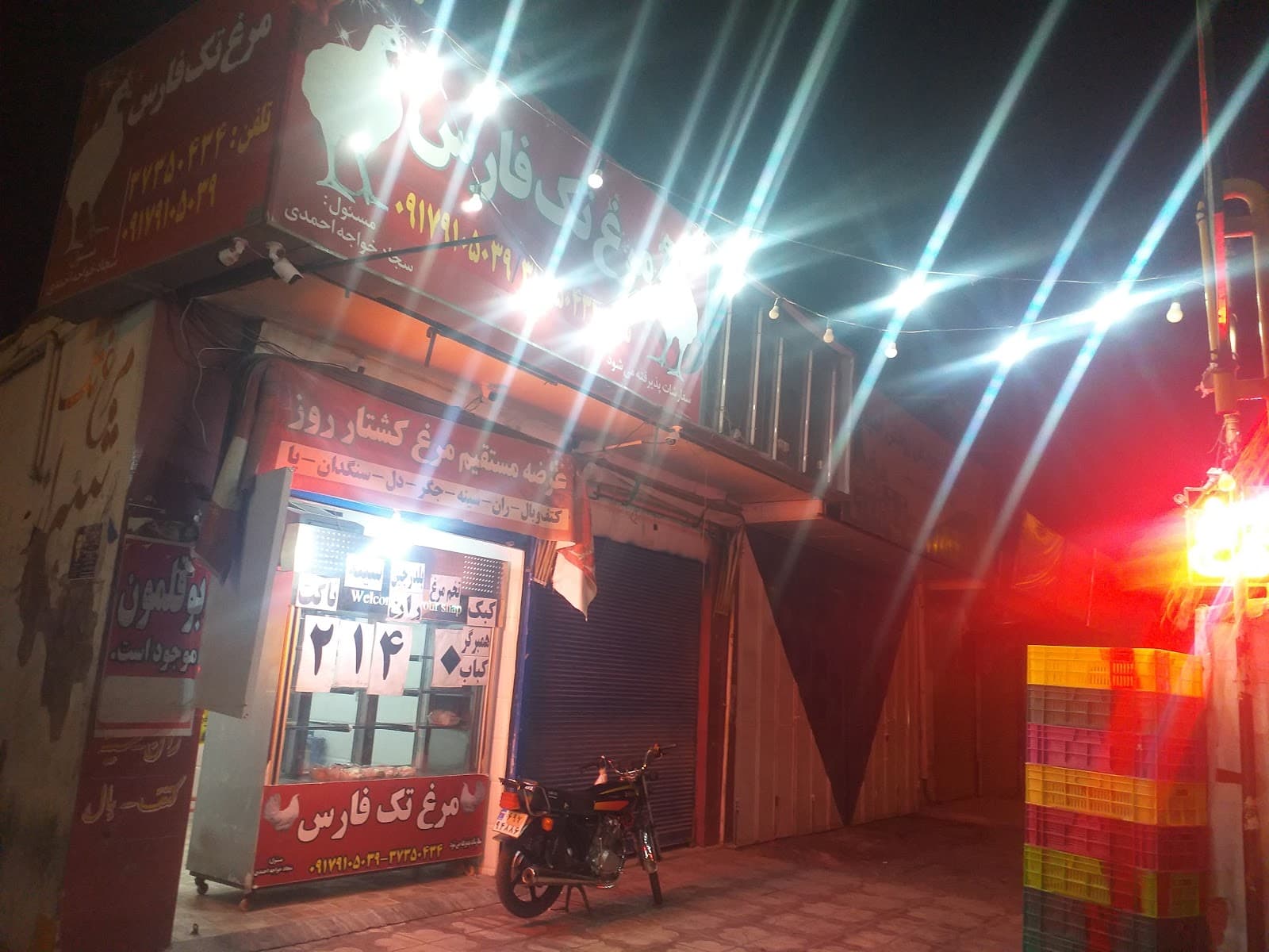 مرغ و تخم مرغ سجاد 2