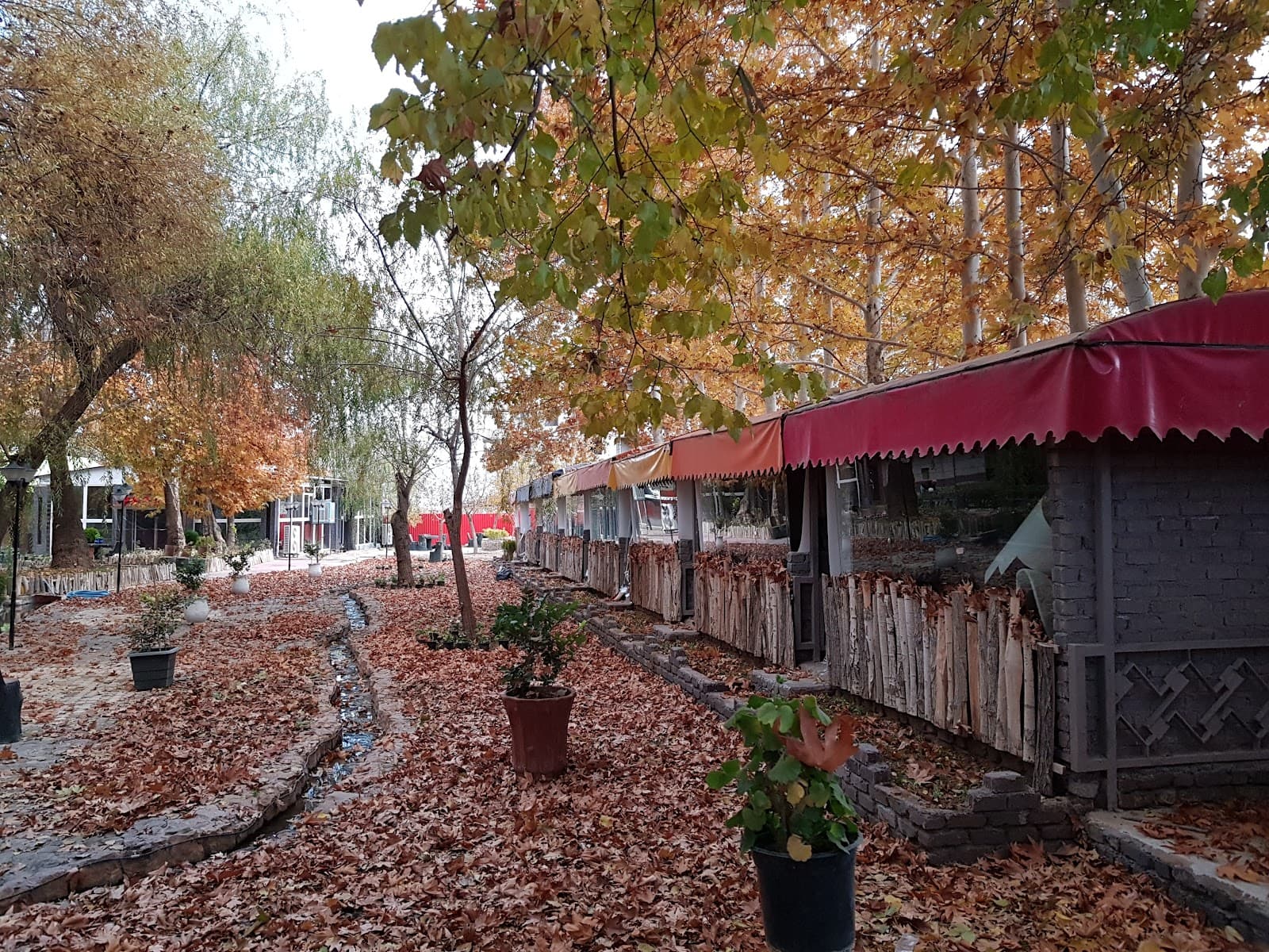 Pardis Garden Restaurant 3