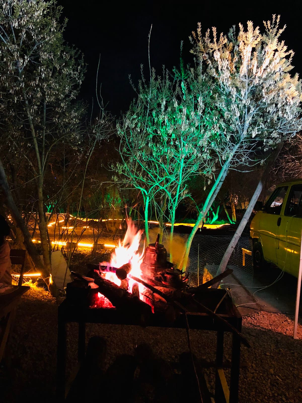 کافی باغ نوستالژی 2