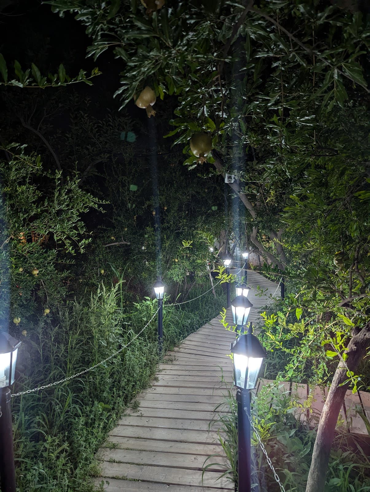 کافه باغ طوبی 4