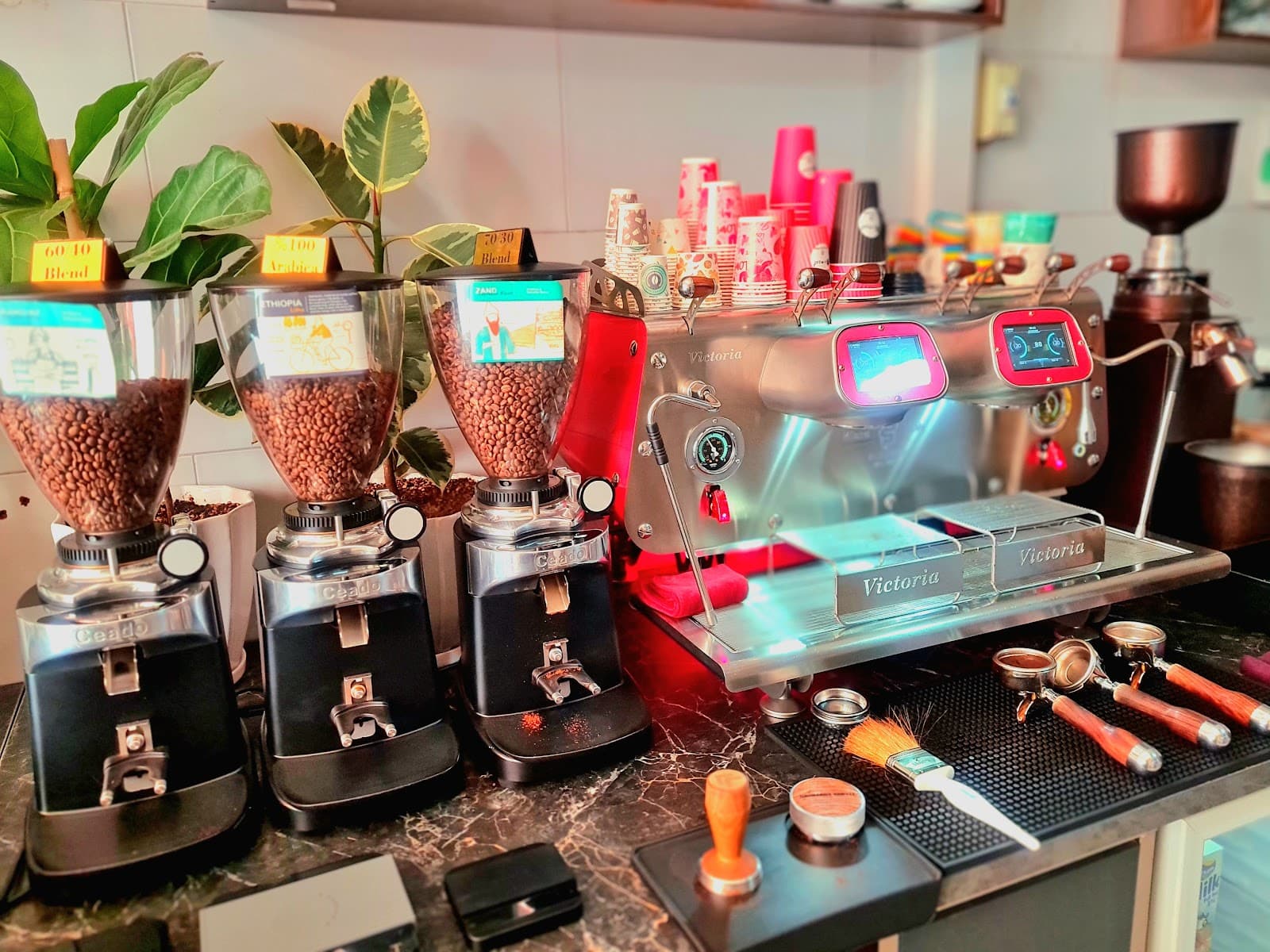 Sarmast Coffee 2