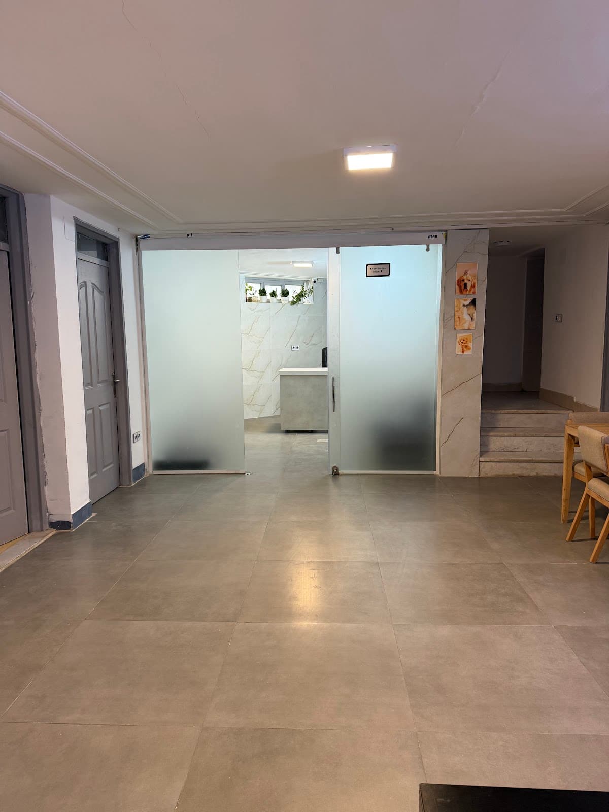 کلینیک دامپزشکی و پت شاپ نوین 3
